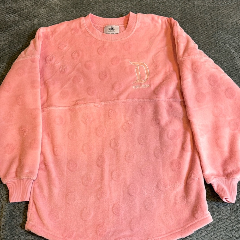 Disneyland Spirit Jersey